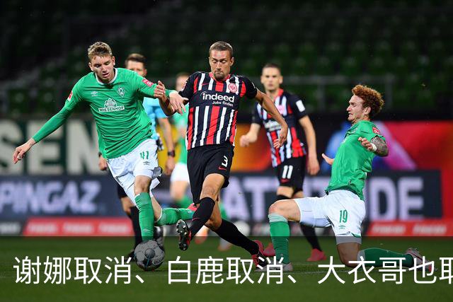 谢娜取消、白鹿取消、大衣哥也取消！只因他们踩了中国人3大雷区